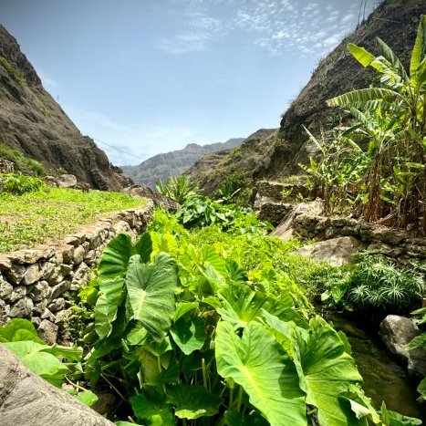 hotel chateau georgette santo antao cabo verde paul valley cape verde (27)